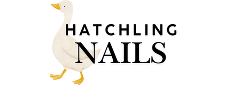 1:1 Nail Education